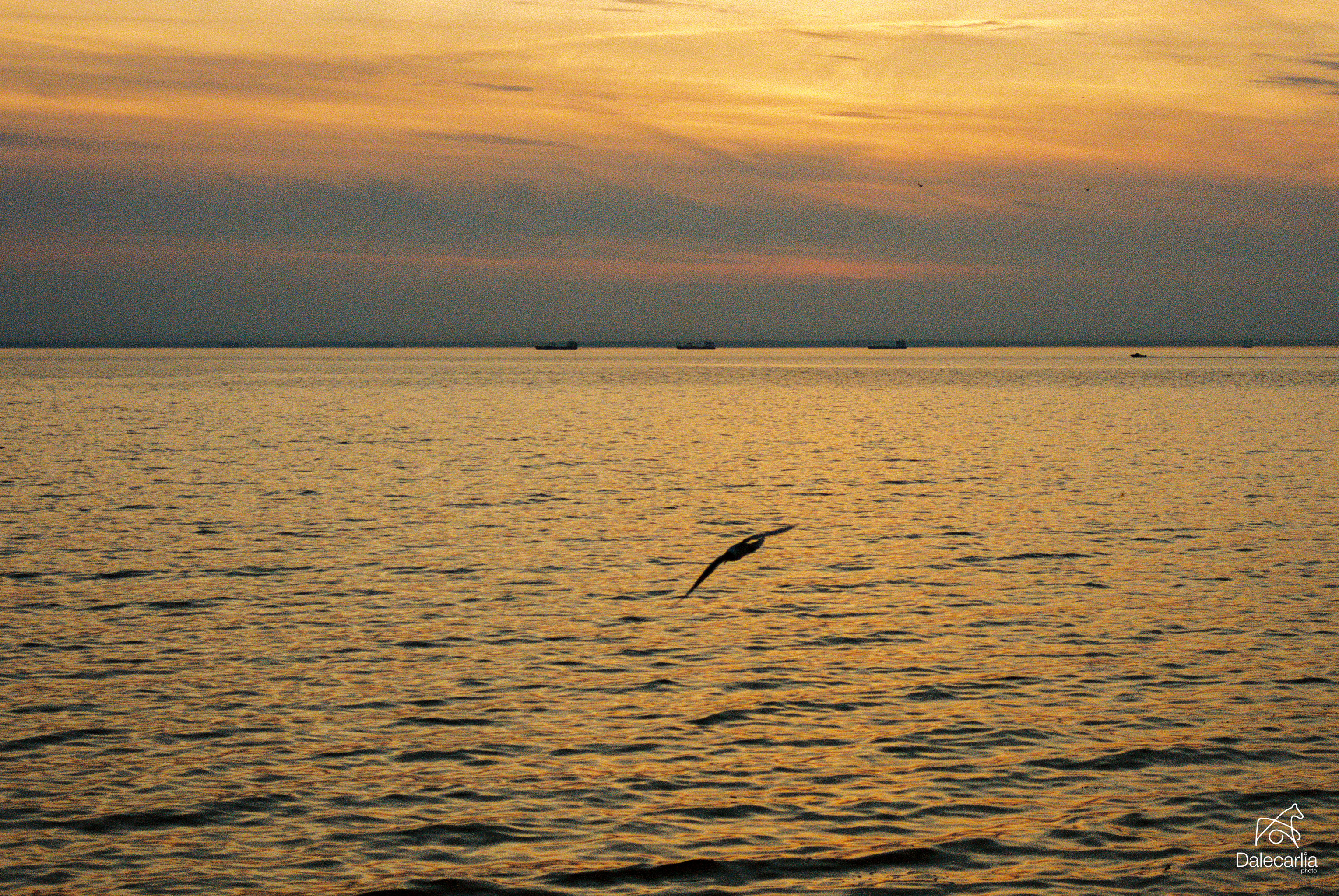 Film — bild 7